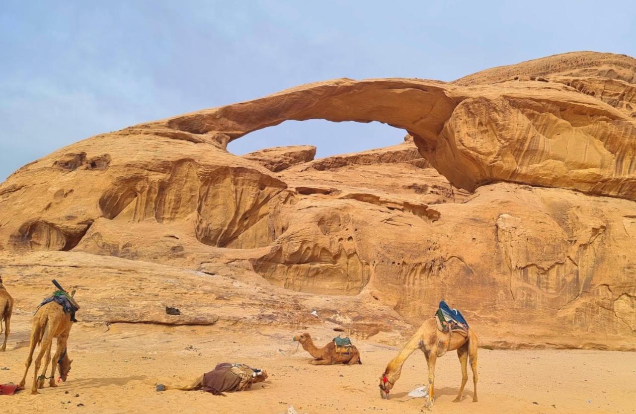 Desert Knights Camp Wadi Rum Exterior photo