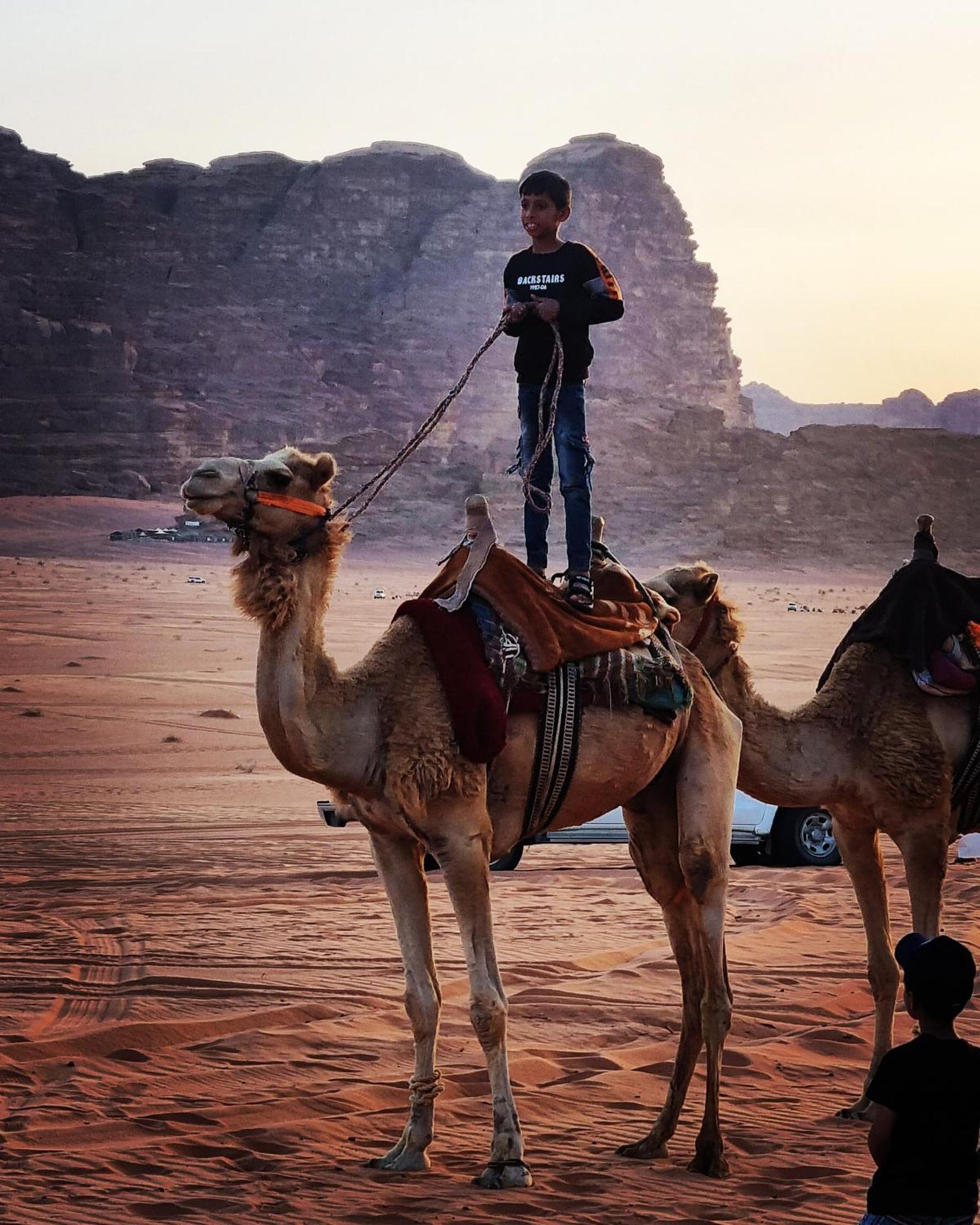 Desert Knights Camp Wadi Rum Exterior photo